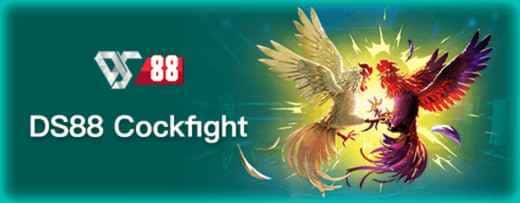 DS88 COKFIGHT PH88